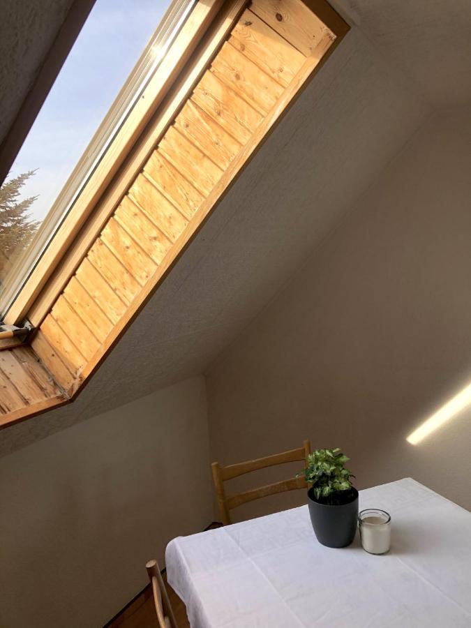 Gasthaus Am Schloss Karlsburg Dış mekan fotoğraf