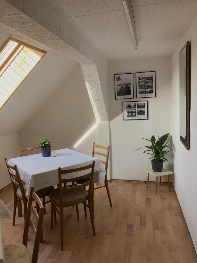 Gasthaus Am Schloss Karlsburg Dış mekan fotoğraf